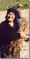 Vine Planting - 6 - Maria with vine cuttings